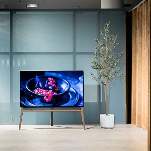 Fiddle leaf fig tree