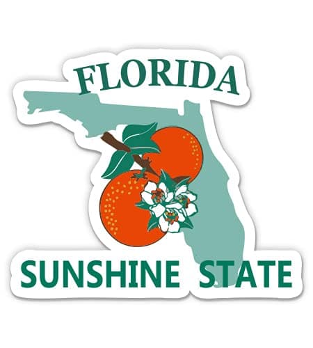 Florida Sunshine State License Plate Style - 3" Vinyl Sticker - for Car Laptop Water Bottle Phone - Waterproof Decal