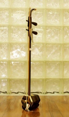 Concert Dunhuang Erhu Chinese 2-string Violin Fiddle Musical Instrument