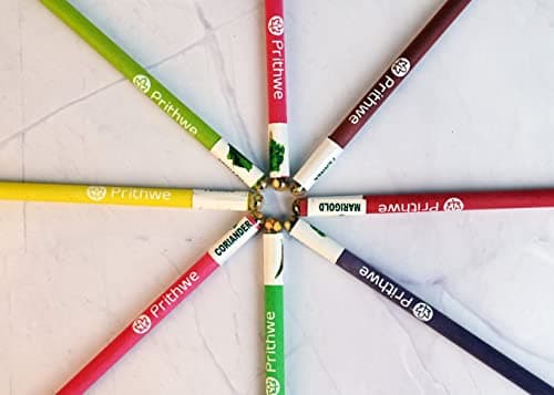 Ecofriendly Plantable Seed Black Pencils Gift Pack (Pack Of 50 Pencils - 2 X 25 Sleeves)