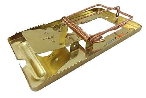 Pack of 4 Classic Metal Rat Traps Brass Coated - Strong Snap Trap for Rats Control That Work, Durable, Reusable and Effective