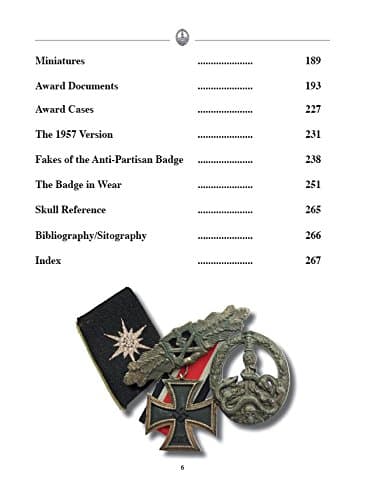 The Anti-Partisan Badge