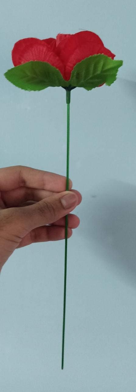 Amazing Fire to Rose Magic Trick