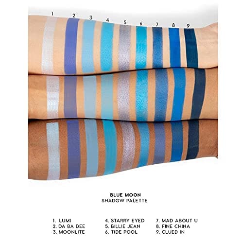 S.F.R. COLOR Blueberry popular pressed pigment eyeshadow palette | blue theme eyeshadow palette | matte and shimmer eyeshadow combo palette | travel friendly eyeshadow