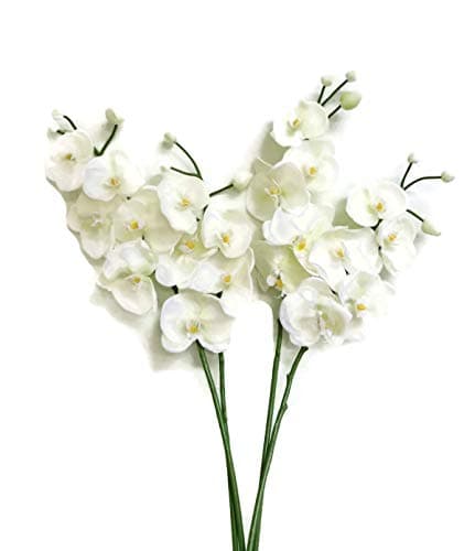 Floral Kingdom Real Touch Latex Single Stem Butterfly Orchid Branch For Floral Arrangements, Bouquts, Office/Home Decor (Pack Of 3) (White Cream)