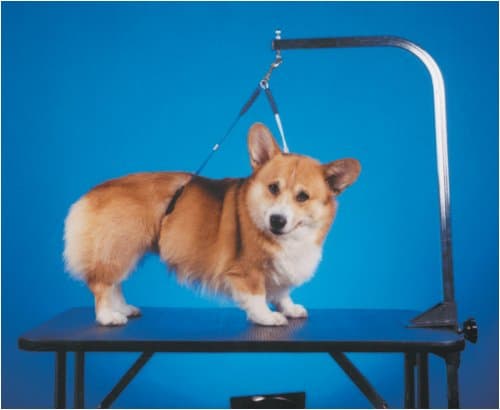N0 Sit Haunch Holder, Dog Grooming Restraint Holder - Small-Medium