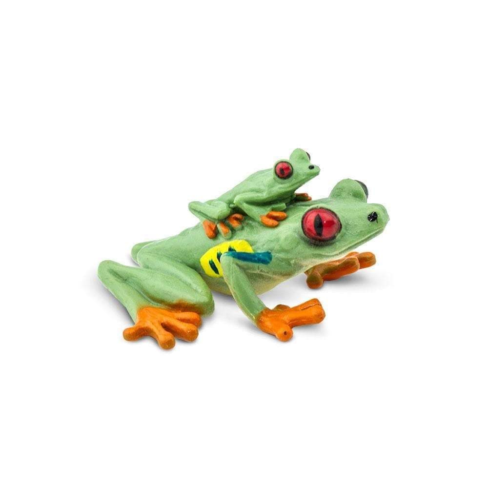 SafariLtd. Red Eyed Tree Frog – Realistic Hand Painted Toy Figurine Model – Quality Construction from Phthalate, Lead and BPA Free Materials – For Ages 3 and Up