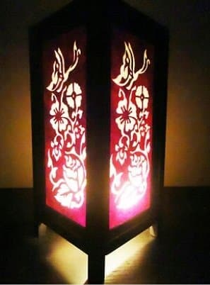 Thai Vintage Handmade ASIAN Oriental Red Butterfly Flowers Bedside Floor or Table Lamp Lighting Shades