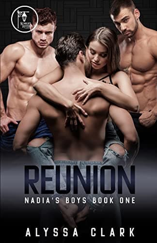 Reunion: A Reverse Harem Romance (Nadia's Boys) Paperback – December 10, 2020