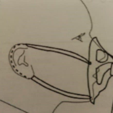 Large Oxymask with Dual Ear Strings - OP1425-8