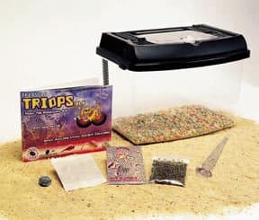 Triassic Triops DLX Kit, 20-30 eggs