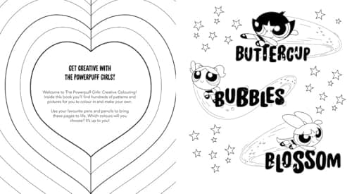 The Powerpuff Girls: The Powerpuff Girls Creative Colouring