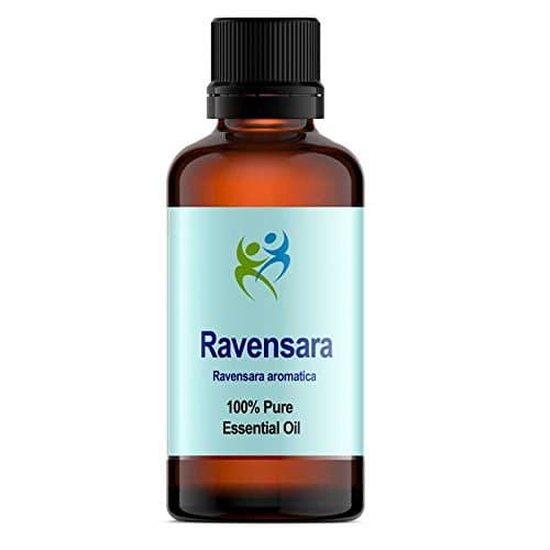Ravensara Essential Oil (Ravensara aromatica) 10ml - Aromatherapy Therapeutic Grade 100% Pure