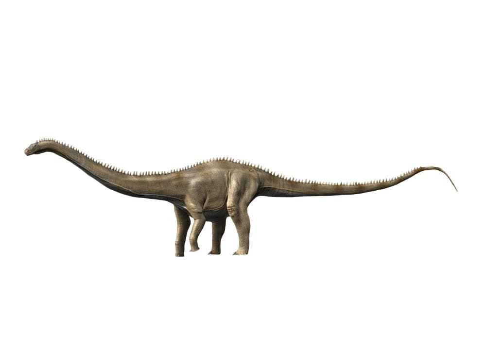 Supersaurus is a sauropod dinosaur from the Late Jurassic period Poster Print by Nobumichi TamuraStocktrek Images (16 x 12)