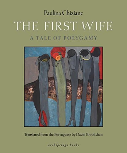 The First Wife: A Tale of Polygamy Paperback – August 9, 2016
