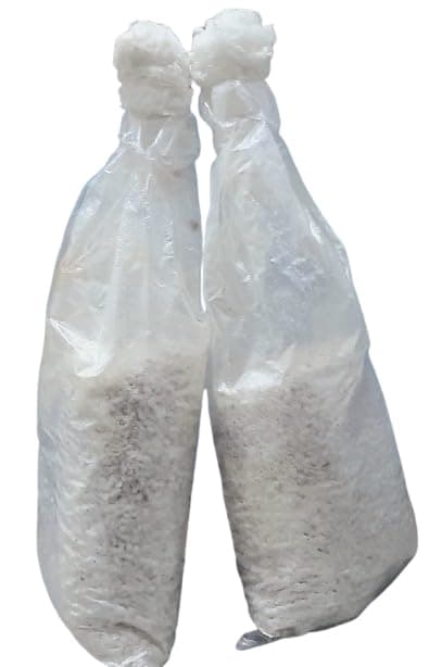 White Button Mushroom Spawn, Ready to Grow