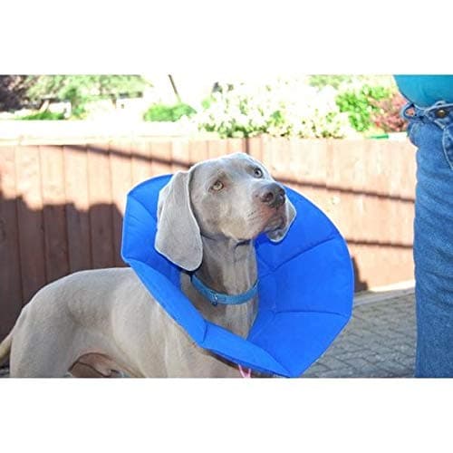 Softe Vets Smart Dog Collar