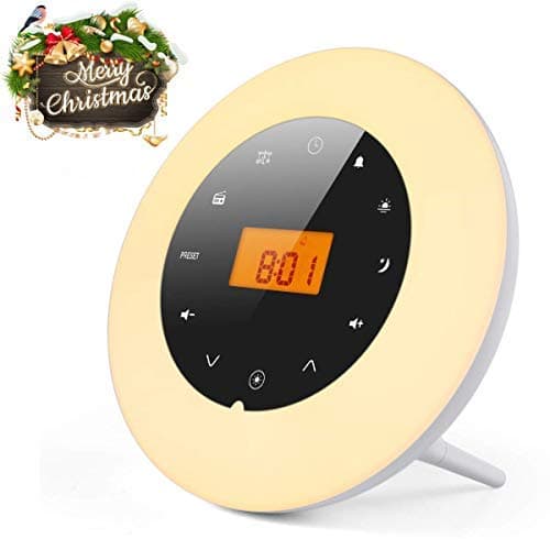 Sunrise Alarm Clock Wake Up Light, Wake Up Light Radio Clock, with 7 Color Adjustable Light, 18 Stations FM Radio, 8 Nature Sound, Aux-in Speaker and USB Charger, White