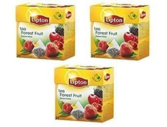 Black Tea - Forest Fruit - 20 Premium Pyramid Tea Bags in one pack [Pack of 3]