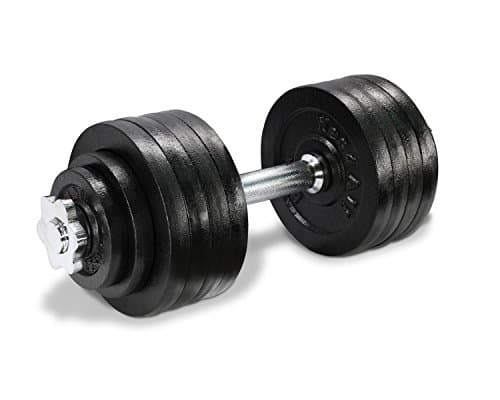 Lion Roar Fitness InfiDeals Adjustable Cast Iron Dumbbells with Solid Dumbbell Handles - Perfect for Home Gym System- Building Muscle
