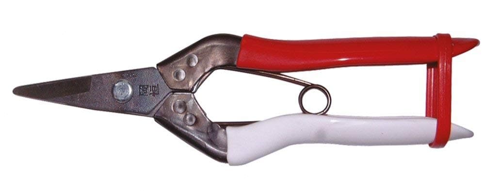 Okatsune 307 cutting scissors with short blade, suitable for harder (wood) trunks
