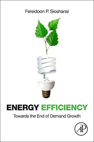 Energy Efficiency: Towards the End of Demand Growth 1st Edition