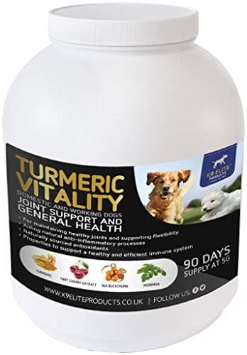 Canine Turmeric Vitality 450G