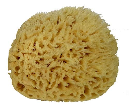 Spa Destinations Natural Sea Wool Sponge 6-7" Natural Renewable Resource