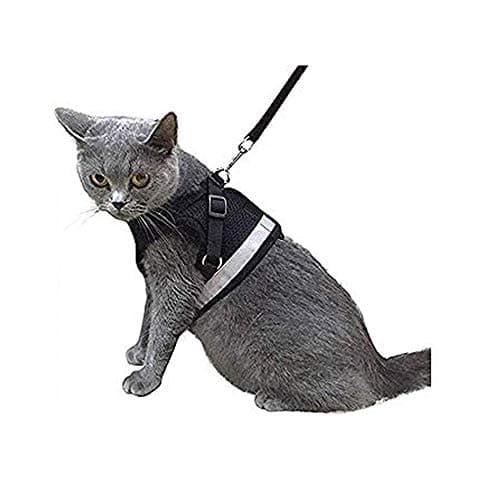 Kamots Beauty Escape Proof Cat Harness and Leash for Walking Adjustable Soft Mesh Pet Vest with Lead for Kitten Puppy Rabbit -(Black,M)