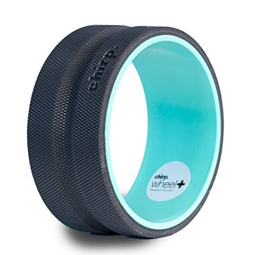 Plexus Chirp Wheel for Back Pain, Stretches and Strengthens Core Muscles, Relieves Strain to Muscles and Ligaments, Helps Prevent Herniated/Bulging Discs, Arthritis, and Osteoporosis