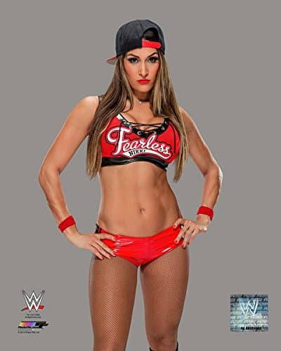 WWE Nikki Bella 16x20 Photo Poster (Wearing red Attire)