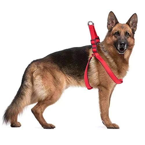 Heavy Duty Dog Harness Large Dog Padded Harness Reflective Harness Nylon No-Pull Harness for Large Dog Running Training (RED)