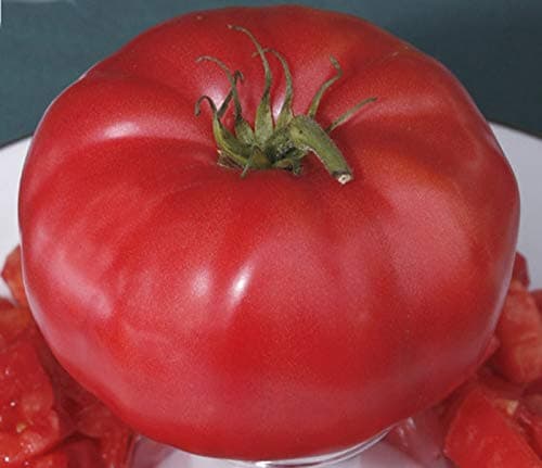 TOMATO - GIGANTOMO F1 - 12 FINEST SEEDS - WORLDS LARGEST BEEFSTEAK