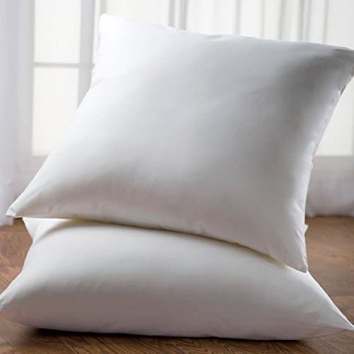 Lavish Linens Indoor/Outdoor Euro Pillows 28x28 Set of 2 Square Pillow Insert for Decorative Bed Pillow Shams & Cushion Covers