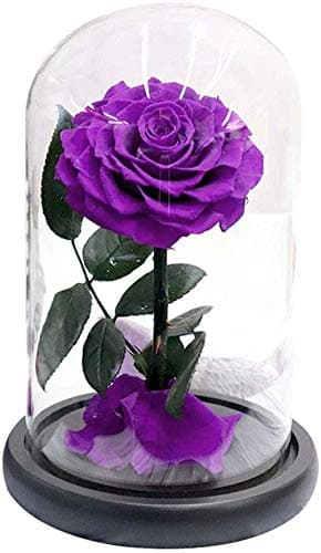 Handmade Preserved Red Rose Forever Never Withered Flowers,Valentine's Gift for Wedding,Anniversary,Birthday, Mother's Day Gift, Best Gift for Her Rose Red (Purple)