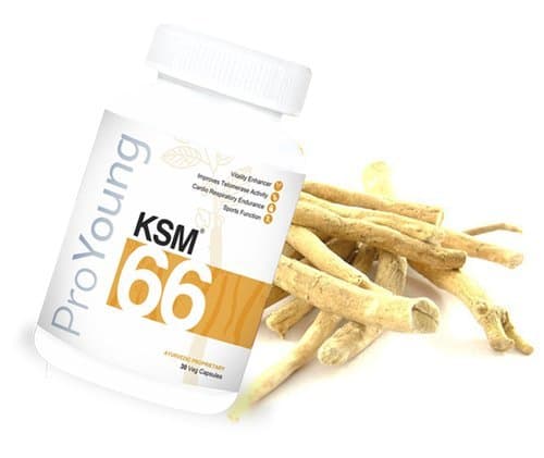 ProYoung KSM-66 - 30 Veg Caps