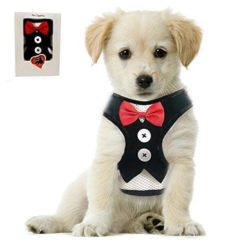 Small Puppy Harness with Bowtie, Adjustable Dog Vest Mesh Tuxedo Harness for Small Dog Kitten, Perfect for Party Wedding Holiday (M, Black Velvet)