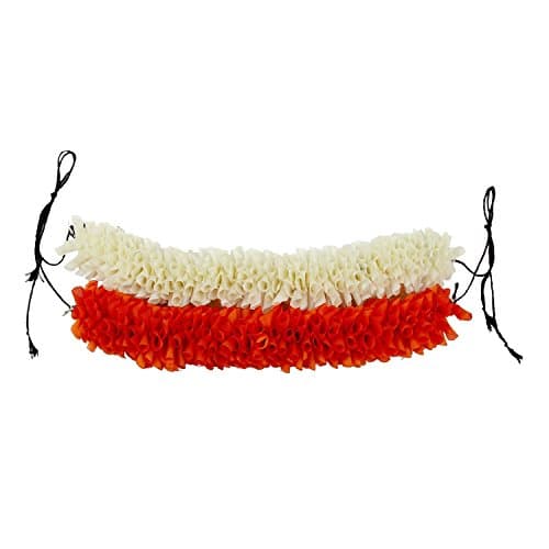 Bharatnatyam Kuchipudi Dance Cloth White And Orange Flowers For Women/Girls (Veni)