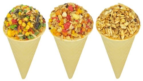 ZENDA CAGE Huge Gold Zenda Bird Cage For Small Parrot Cockatiel