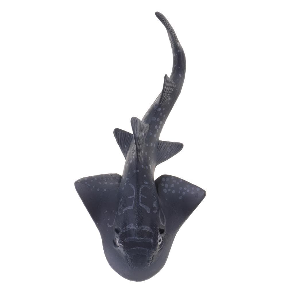 Enakshi Realistic Sea Ocean Animal Guitarfish Model Action Figures Figurine Kids Educational Toy Children Gifts