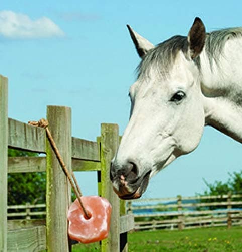 Himalayan Animal Salt Lick Horse Lick Equine Dietary Supplement 2-3 kg