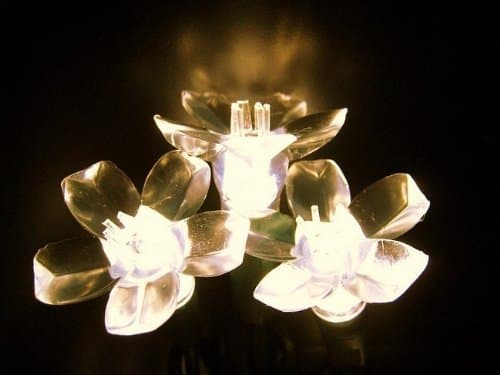 Reinders 144393R-25 LED Specialty Lights - Cherry Blossoms Warm White