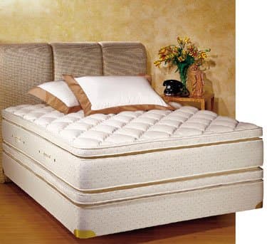 Royal-Pedic Queen-Size Pillowtop Mattress w/ Box Spring