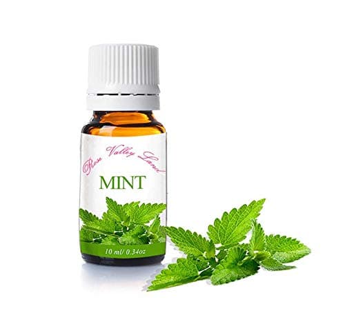 Rose Valley Land Mint Essential Oil - 10 ml - Refreshes, Energizes, Reduces Stress