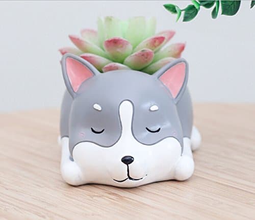 Youfui Cute Planter Animal Shaped Cartoon Home Decoration Succulent Vase Flower Pots (Sleep Husky)