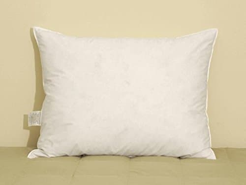 Phoenix Down Venice White Goose Down and Feather Pillows (Standard)