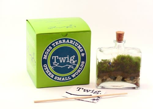 Twig Terrariums Tropisma DIY Terrarium Kit