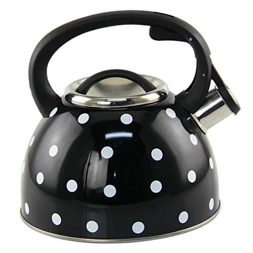 Riwendell 2.7 Quart Whistling Color Dot Tea Kettle Stainless Steel StoveTop Teapot (GS-04016F-2.5L-1)