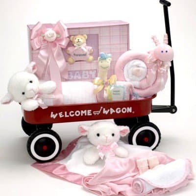 Welcome Wagon Baby Gift for Newborn Girls Featuring the Forever Baby Book Keepsake Album