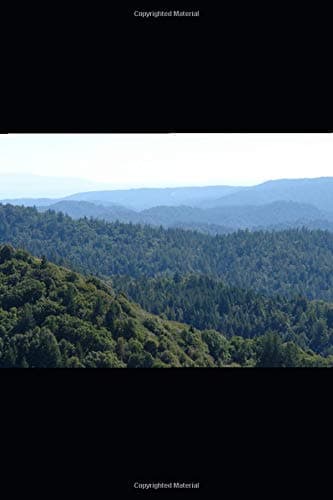Il destino di Lidan (Italian Edition)